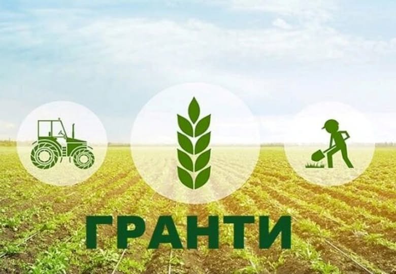 На зображенні може бути: текст